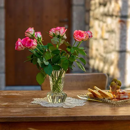 72 Crikvenica Riviera * Bribir (Primorje-Gorski Kotar)